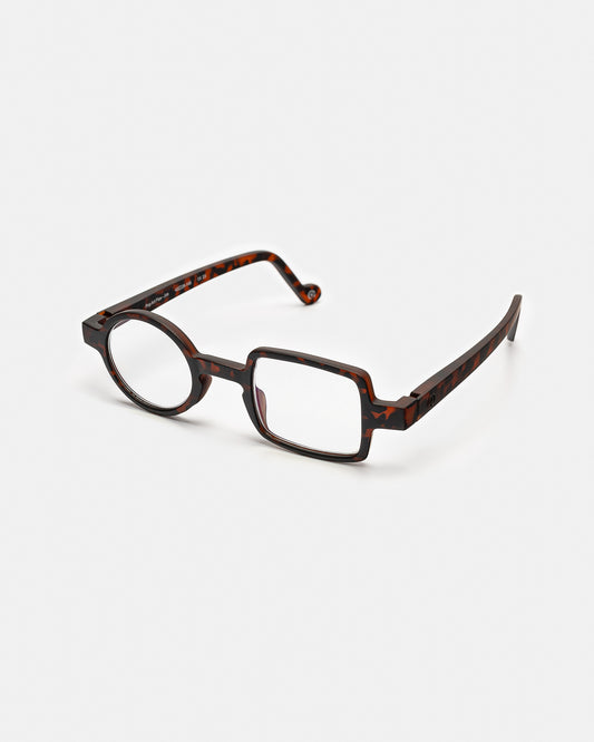 Pop Art Jim - Brown - APTICA