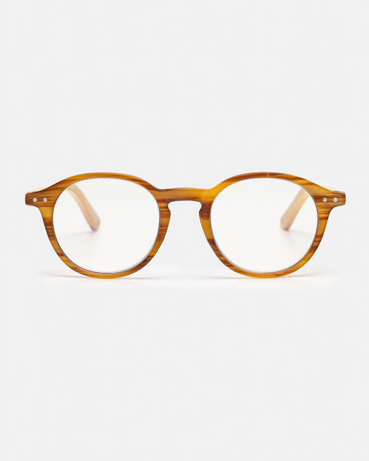 Panda Tian Bao - Brown - APTICA