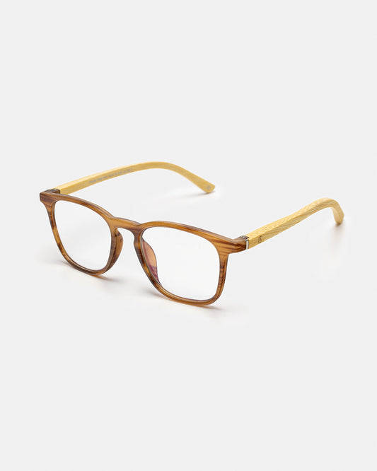 Panda Xing Hao - Brown - APTICA