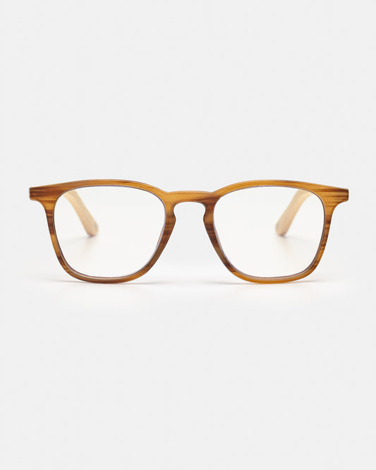 Panda Xing Hao - Brown - APTICA