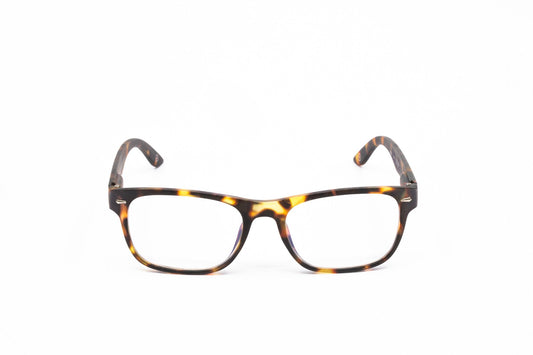 University Alfa, Demi Amber - APTICA