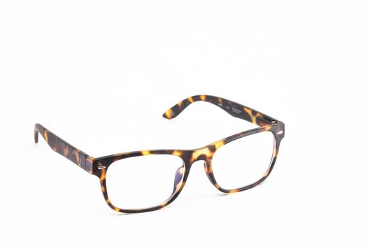 University Alfa, Demi Amber - APTICA